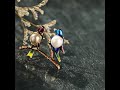 18K gold Fashion high-end brooch  trendy personality pearl bird brooch気質ファッションハイエンドブローチ、パールバードブローチ