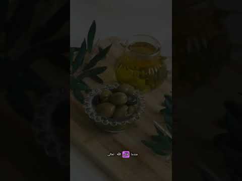 حلقه 175 سر التين والزيتون معجزة قرآنية تؤكدها الأبحاث اليابانية والمحلية