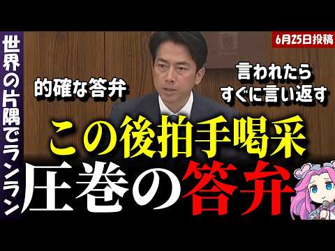 【小泉進次郎】こんなの見たことない！圧巻の委員会答弁！実はレスバに強い小泉大臣ｗｗ【参議院外交防衛委員会 2026年6月25日】