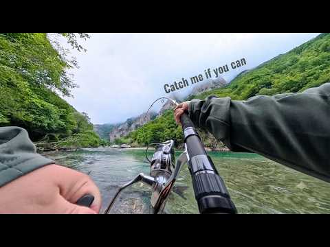 NAJUSPESNIJE PECANJE MLADICE DO SADA | Hucho Hucho | Tifran
