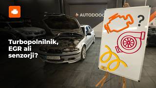 Zamenjavo Blažilniki Polo 6n1 1.4 - nasveti za menjavo