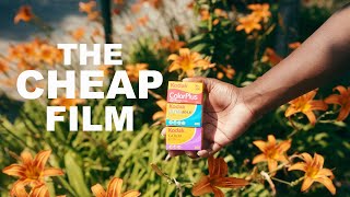 These CHEAP Film Stocks are Surprisingly AMAZING