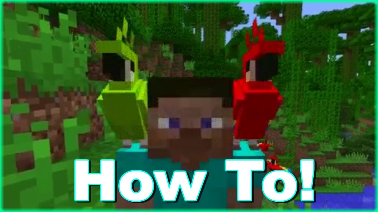 Minecraft How To Make A Parrot Sit On Your Shoulder Xbox One Ps4 Youtube