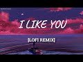 Post Malone & Doja Cat - I Like You (Lofi Remix) 🎶