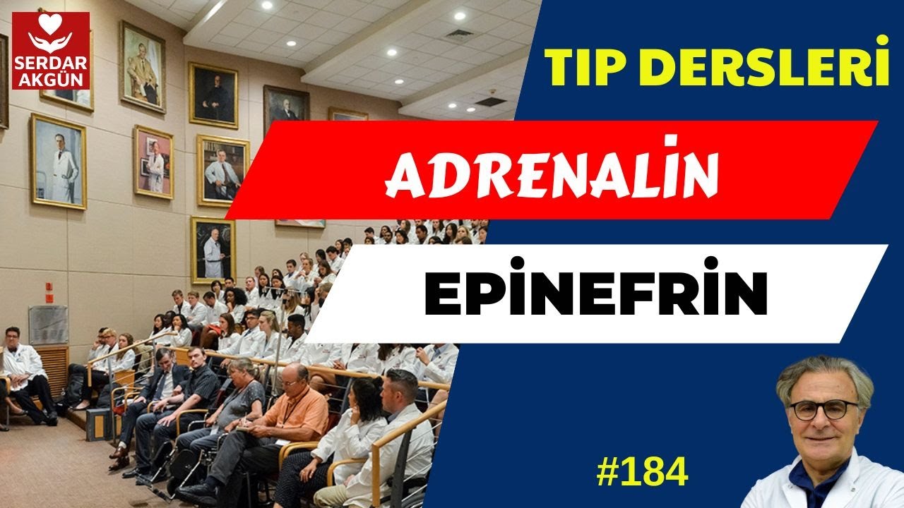 184. Adrenalin, Epinefrin, Serdar Akgün