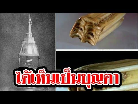 วีดีโอ: พระพุทธเจ้าถืออะไรอยู่ในพระหัตถ์?