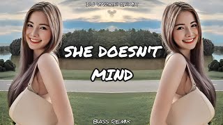 She Doesn't Mind Viral TikTok Remix Dj Vinzkie Remix