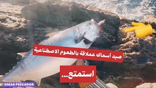 Pesca de peces gigantes con cebo industrial?صيد السمك بالطعوم الصناعية