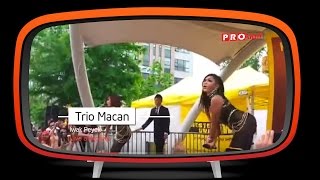 Trio Macan - Iwak Peyek (Live Performance in Korea)