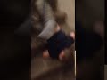 Kids Fail to Ride Cardboard Box Down Staircase - 987266