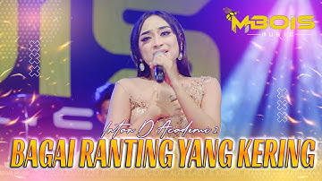 BAGAI RANTING YANG KERING - Intan DA2 Ft. Mbois Music Live Camplong Sampang