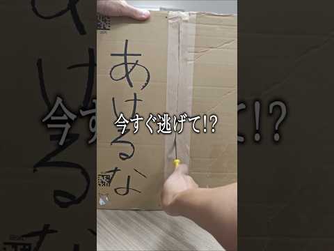 【警告】タイピング音が良すぎる1万8千円の「ダメ人間製造機」がヤバい - カズチャンネル/Kazu Channel