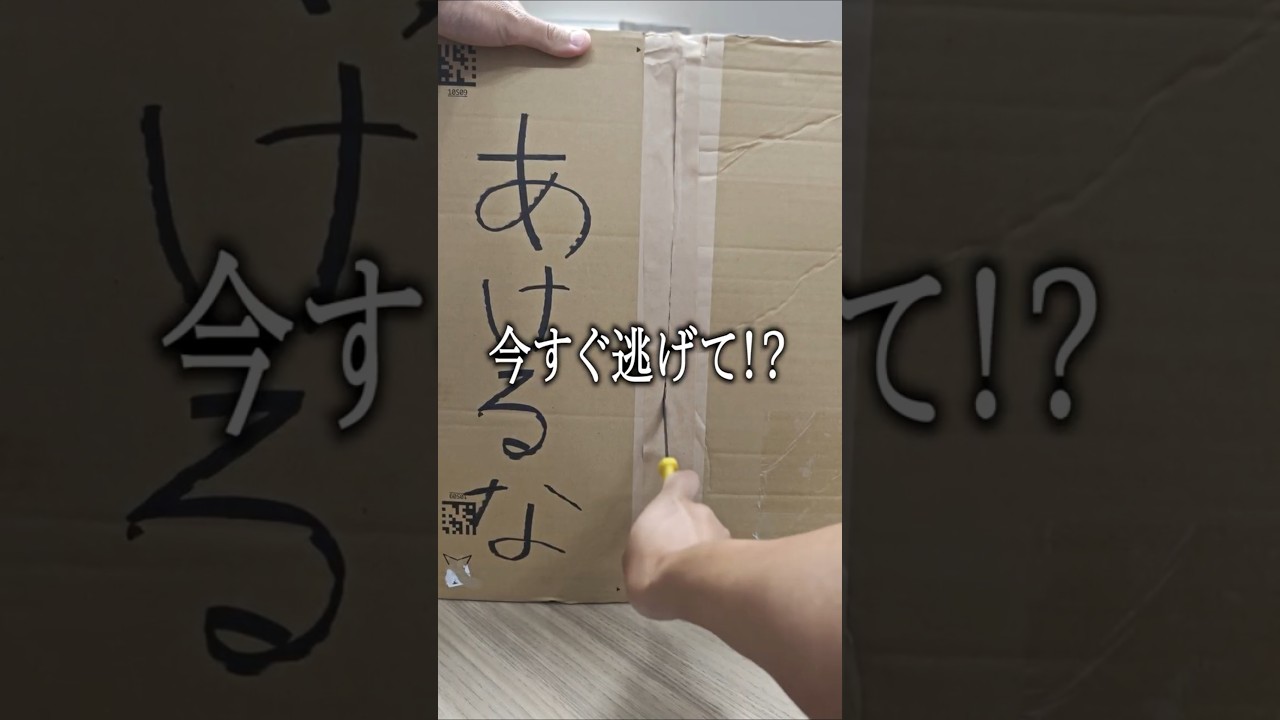 【警告】タイピング音が良すぎる1万8千円の「ダメ人間製造機」がヤバい