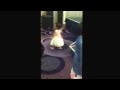 bayi joget dangdut lebaran 2015