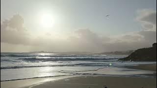 Enjoy some sun during a break in the rain.