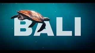 Bali | Indonesia | Cinematic video