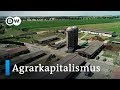 Trend zur Riesenfarm - Agrarfonds kaufen auf | Made in Germany