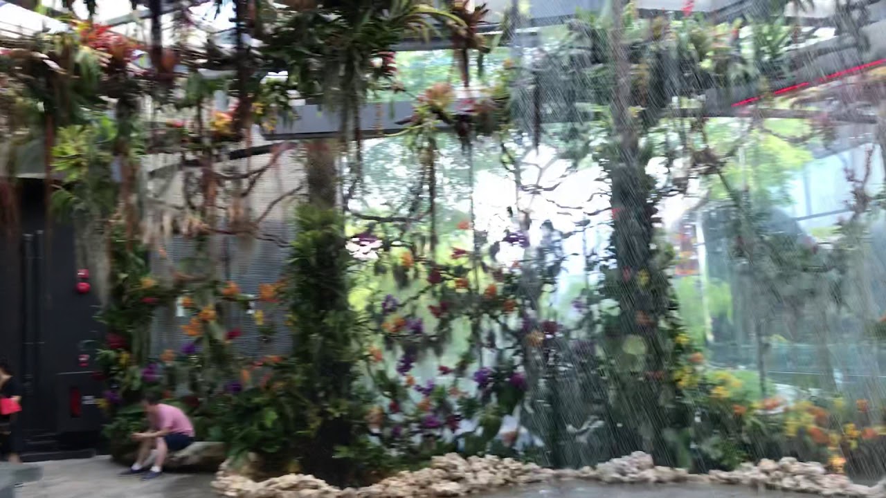 Floral Fantasy - Singapore