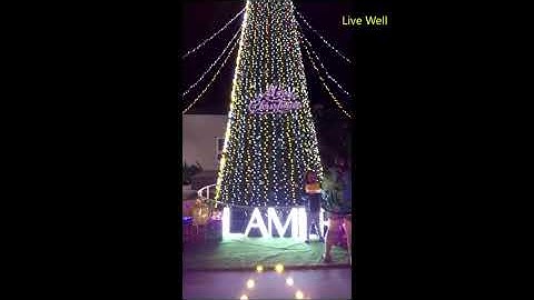 Cây thông Noel khổng lồ ở chung cư lamer 1