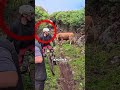 WHY YOU SHOULDN’T WEAR RED NEAR A BULL 😳🐂