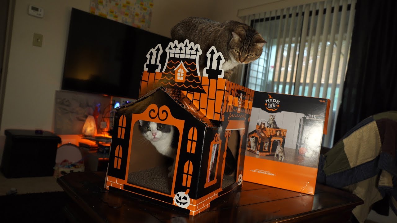 Target Is Selling Haunted House Cat Scratchers So They Can Get In On All  The Spooky Fun