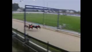 Friday June 4th Race 3