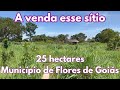 A venda esse sítio de 25 hectares - A 1 km da BR no município de Flores de Goiás