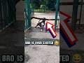 Why Are Dogs So Obsessed With Sticks?#dogs #funny #dog #barkingbliss #pets