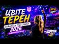 The Blackthorn Blossoms Ukrainian Folk Dance 2026 Modern Ethno Remix 
