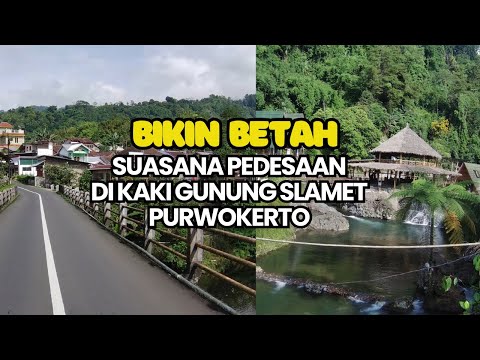 SUASANA PEDESAAN DI KAKI GUNUNG SLAMET PURWOKERTO