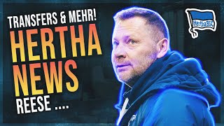 Pal Dardai vor dem Aus bei Hertha BSC!  🏟 Hertha News