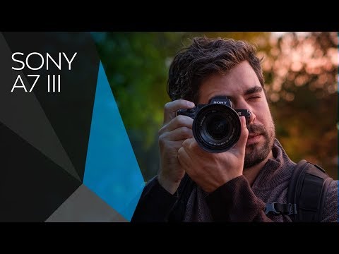 Sony A7 III Review: With outstanding image quality, the ‘basic’ Sony A7 III excels in every way
