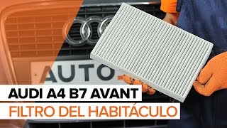 Instalación Filtro del habitáculo AUDI A4 Avant (8ED, B7): vídeo gratis