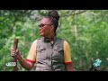 Discover 2,800 acres of nature at Cedar Hill's Great Greenway