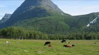Grieg:  Nordic Melody  Cow Cow Op. 63-  GSO / Järvi