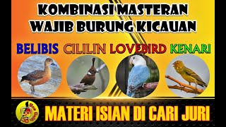 MASTER BURUNG MEWAH PALING DICARI!!! CILILIN BELIBIS LOVEBIRD KENARI