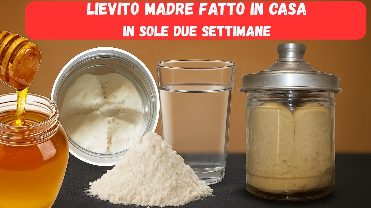 Lievito Madre Pronto in 2 Settimane con Solo 3 Ingredienti