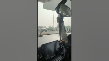 Sandeep Tiwari driving #Sandeepsir #targetwithalok #Sandeeptiwari #shorts #maths #targeton