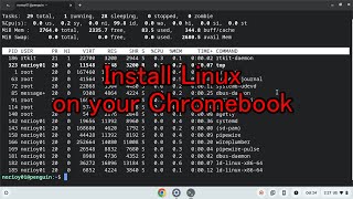 Install Linux on your Chromebook