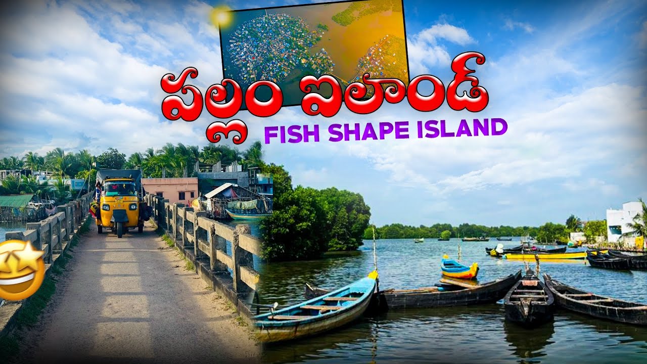 PALLAM ISLAND🏝️KONASEEMAANDHALU🥰FISH SHAPE ISLAND#pallam#andhrapradesh#konaseema#godavarisanagathulu