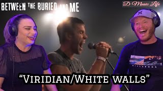 Between the Buried and Me - Viridian + White Walls “Live” (Reaction) This Band is Ridiculous