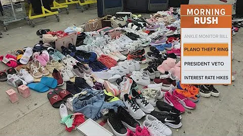 11 arrested in alleged organized theft ring targeting retail stores