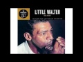 Little Walter Hate To See You Go mp3