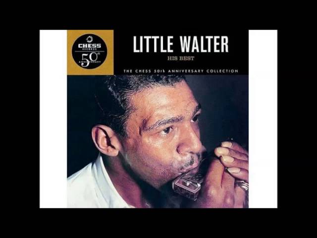 Little Walter - Hate to See You Go