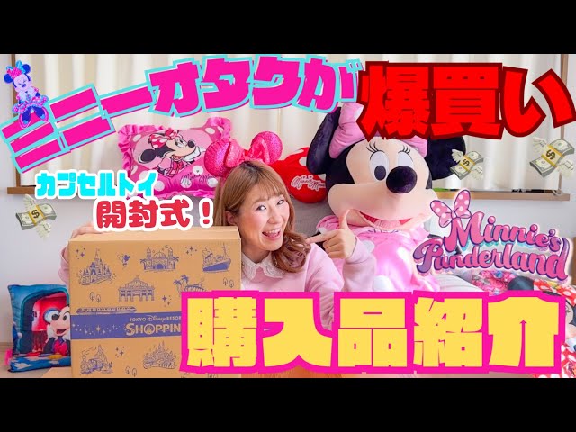 購入品紹介】ミニーのグッズを爆買いしてしまいました。〈ディズニー