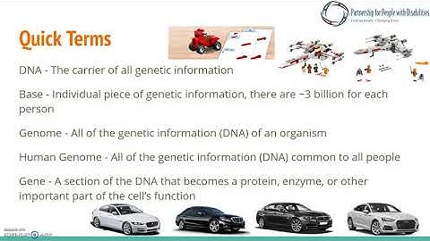 Introduction to Genetics - Lecture 1
