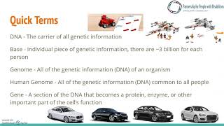 Introduction to Genetics - Lecture 1