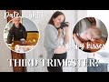 HUSBAND IS HOME!! OFFICIALLY IN THE 3RD TRIMESTER | How I&#39;m Feeling 28 Weeks Pregnant | bump update!