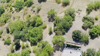 3995 Glenalbyn Dr, Mt Washington CA 90065 (1 of 3)