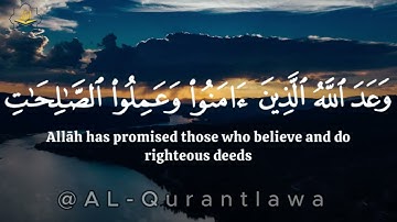 محمد رسول الله | سورة الفتح | #قران_كريم #تلاوة_خاشعة